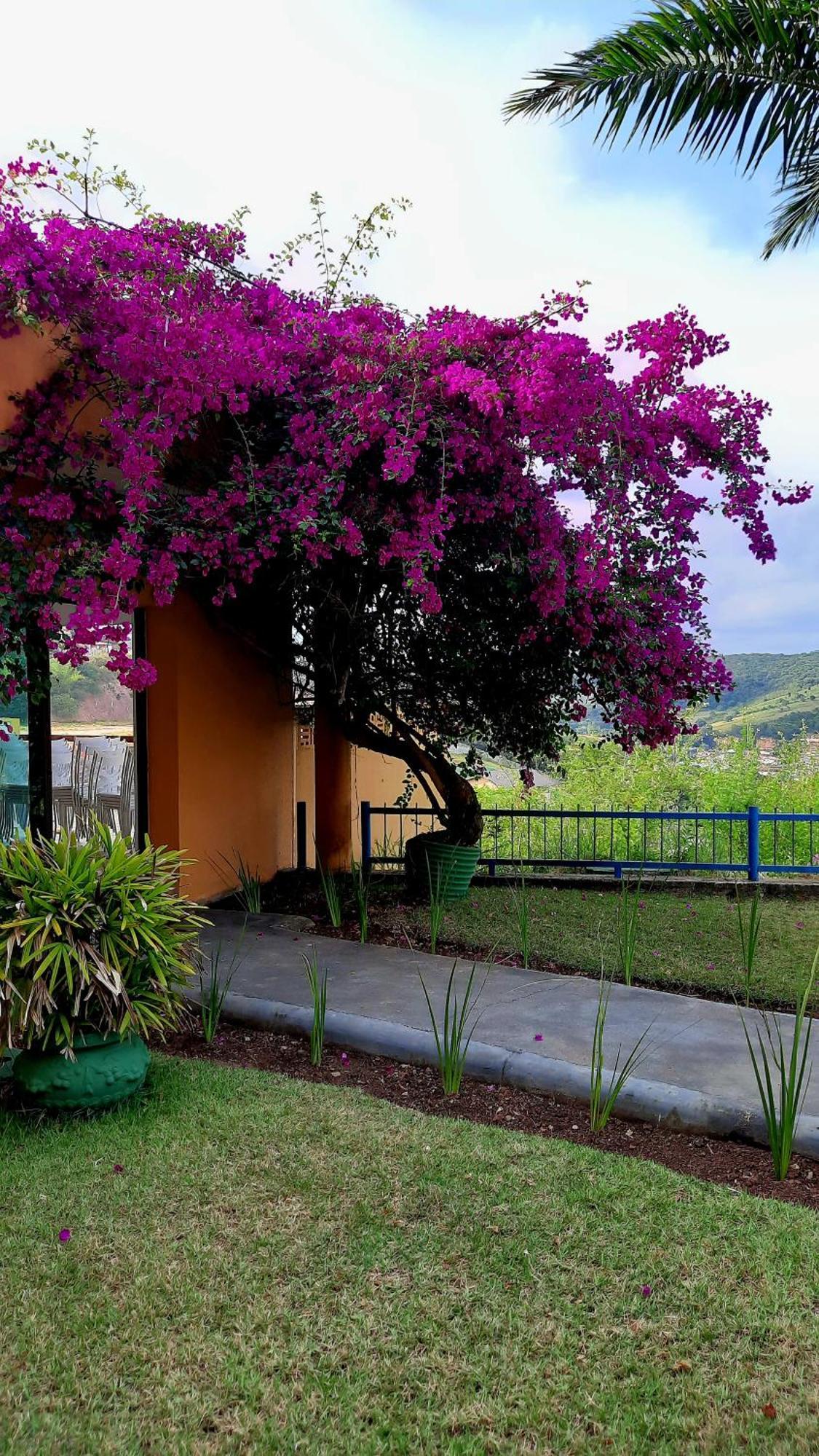 Aconchegante Com Varanda Apartment